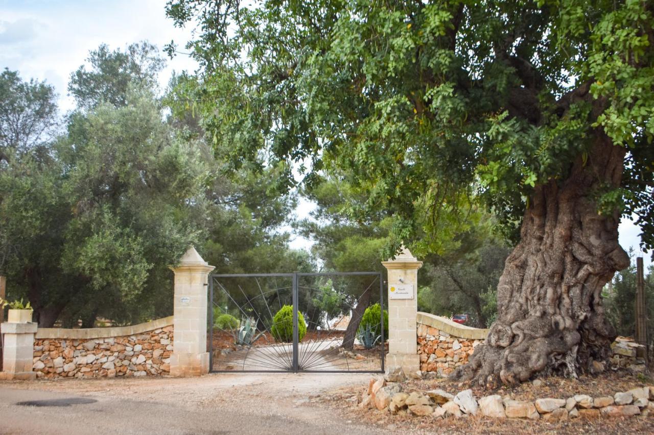 Villa Trulli Monte Madre San Vito dei Normanni Exterior foto