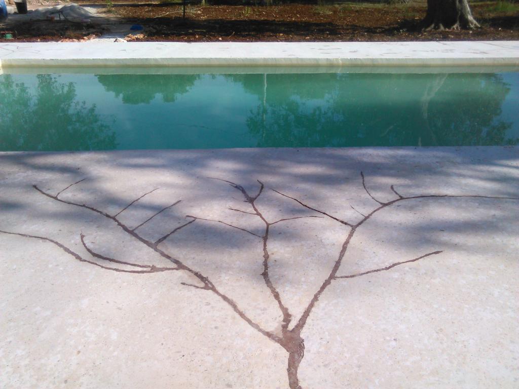 Villa Trulli Monte Madre San Vito dei Normanni Exterior foto